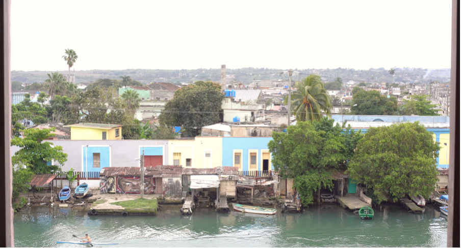 ArticleArchibald Fig 3